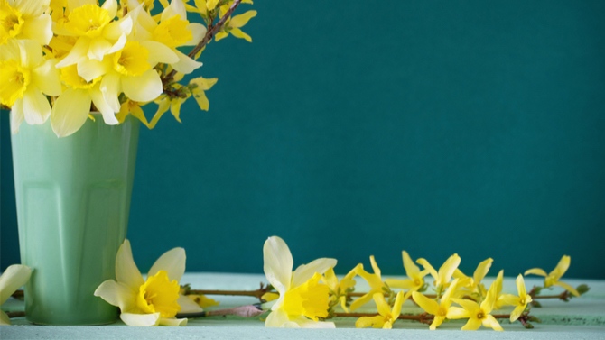 tao-diem-nhan-cho-can-nha-them-sac-xuan