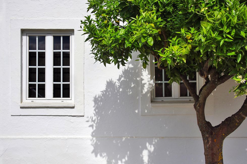 dang-rong-cua-don-nang-vao-nha