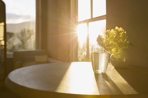 dang-rong-cua-don-nang-vao-nha