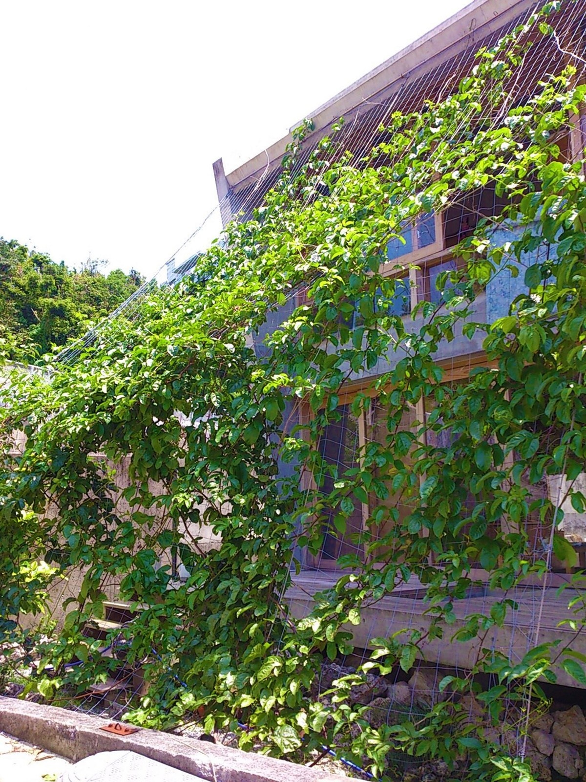 kien-truc-nha-huong-tay