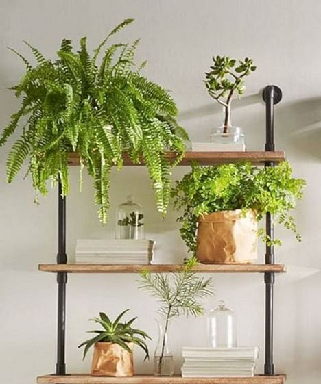 thiet-ke-ke-de-treo tuong-trong-nha-an-tuong